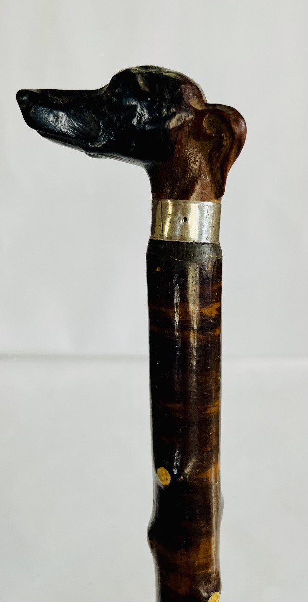 Canne de marche -photo-2